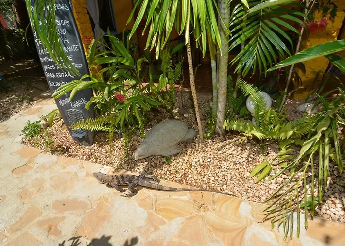 Hotel Conchal Brasilito