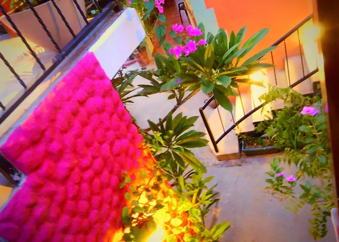 Conchal Hotel Brasilito